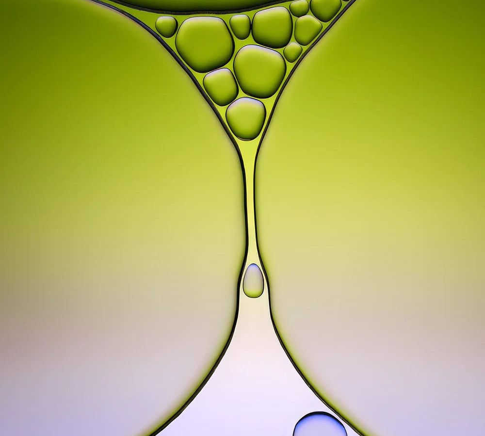 Why Most Supplements Don’t Work