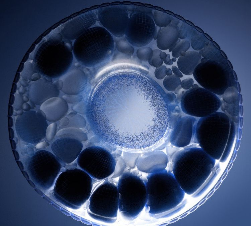 How can you trust what’s really in my supplements?